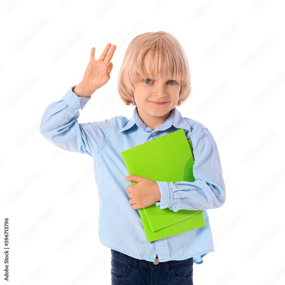Cute little boy with notebooks showing OK on white background Cute little boy with notebooks showing OK on white background