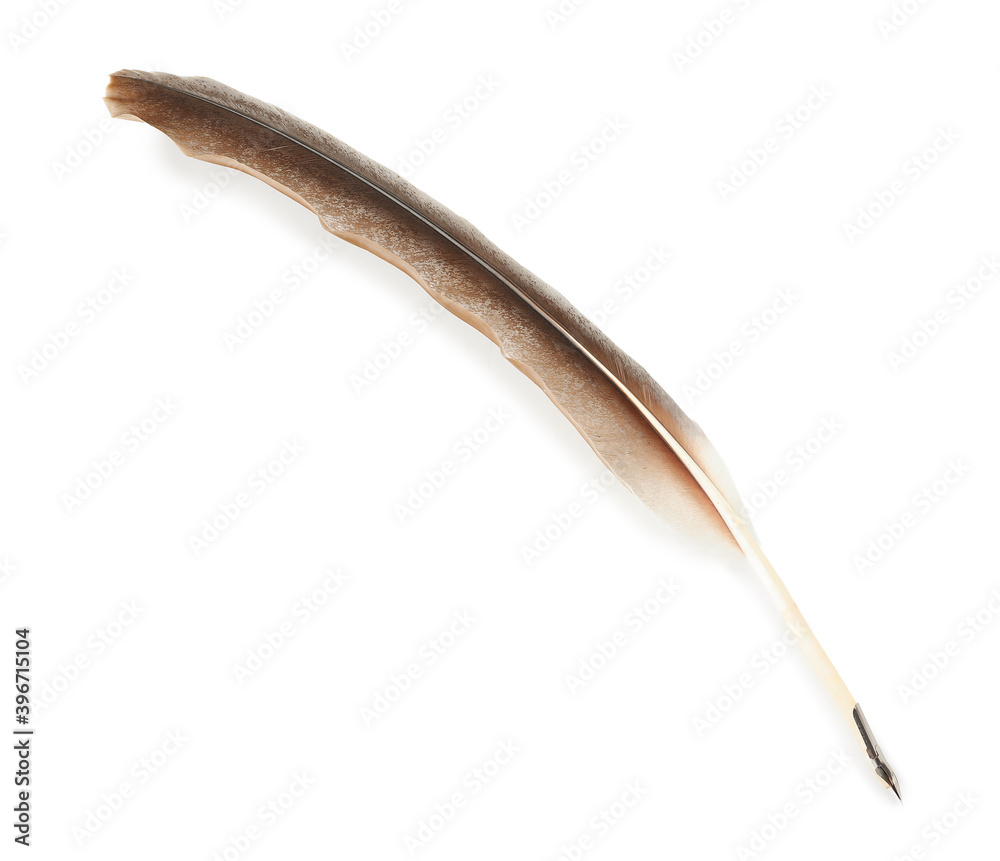 Feather pen on white background Feather pen on white background