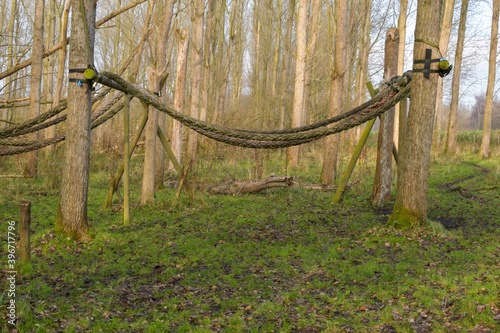 old wooden fence in the forest
