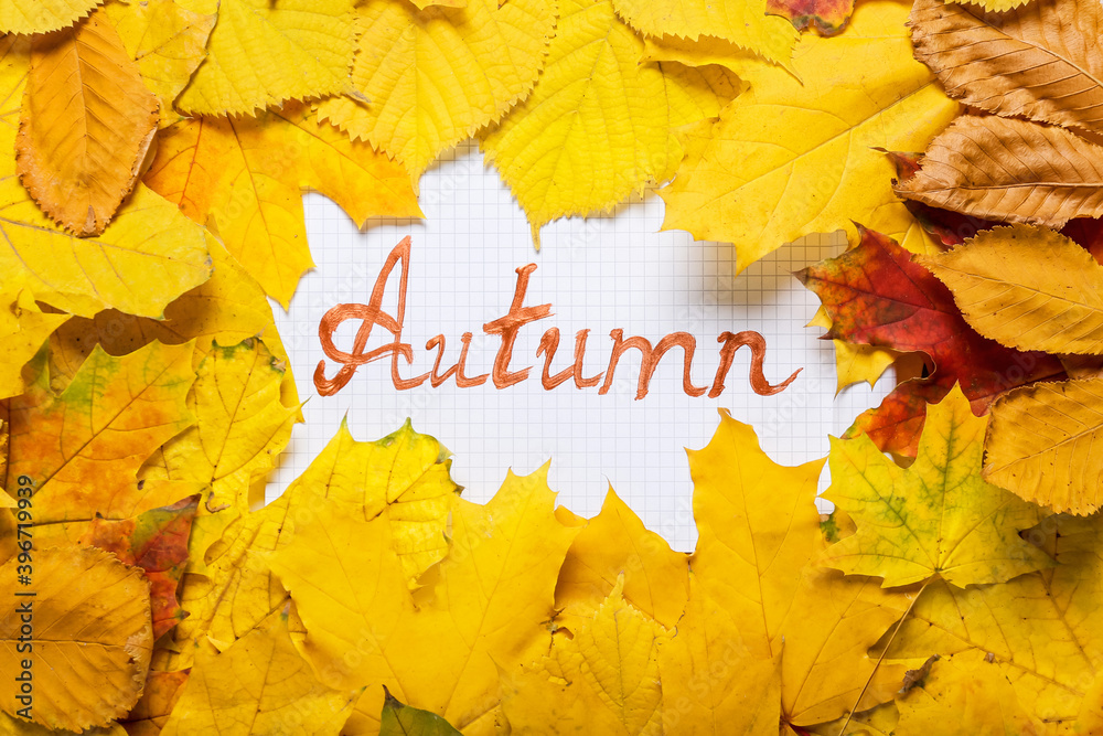 Beautiful leaves with word AUTUMN on white background