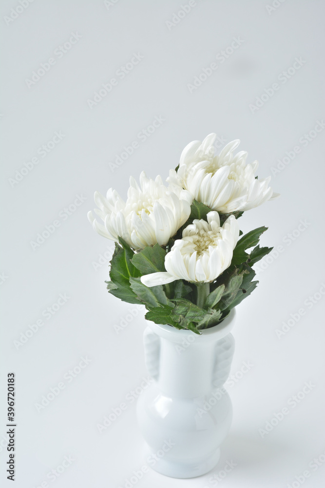 菊の花