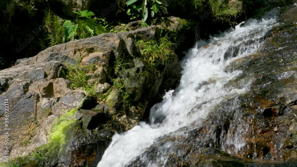 Creek flows among rocks, boulders and plants. Waterfall stream forest Creek flows among rocks, boulders and plants. Waterfall stream forest