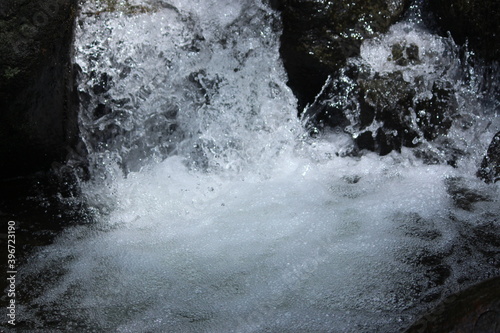 heavy water flow in a forest photo