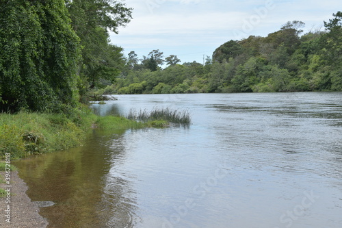 View of Waikato River from Hamilton Gardens