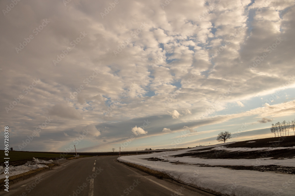 Fototapeta premium 早春の道路と丘に立つ木立 