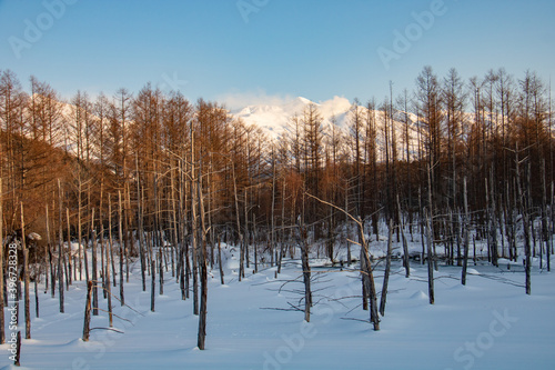 Wallpaper Mural 雪に覆われた青い池
 Torontodigital.ca