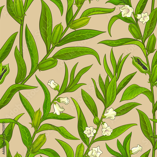 sesame vector pattern