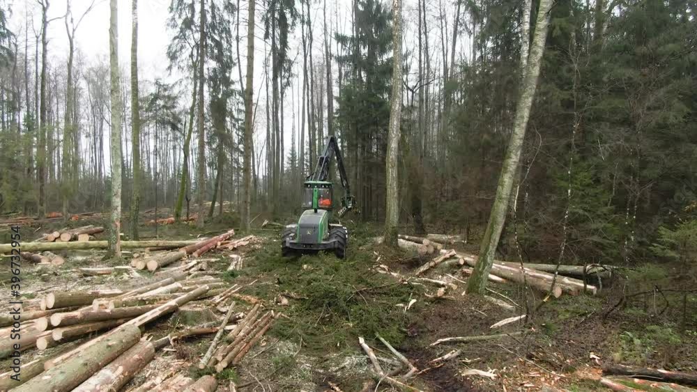 Aerial drone ascending with a view of working wood cutting machine in the forest. Aerial drone ascending with a view of working wood cutting machine in the forest.