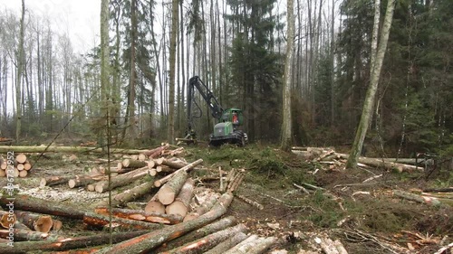 Dramatic drawing closer to the machine cutting woods in the forest. photo