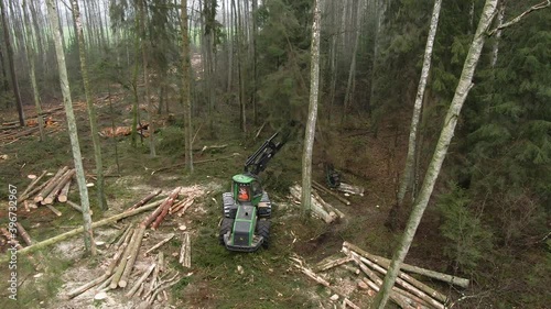 Aerial drone view of tree being cutted by a machine in forest. photo