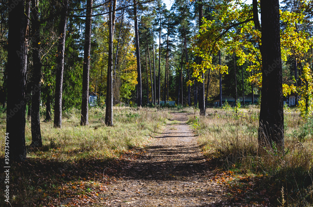 Dirt road to an abandoned sanatorium. Abandoned buildings and the road leading to them Dirt road to an abandoned sanatorium. Abandoned buildings and the road leading to them