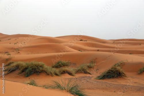 Sand dunes in the Sahara Desert near the village of Merzouga in Morocco.