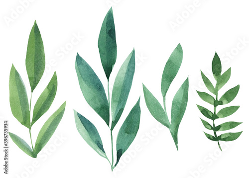 Abstract green leaves on a white background, watercolor drawings