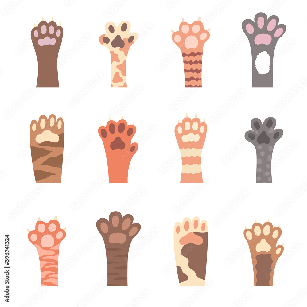 Cat foot. Hand drawn paws. Cat foot. Hand drawn paws.
