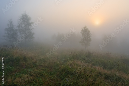 Sun through the mist