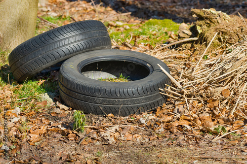 Old car tires discarded in the woods