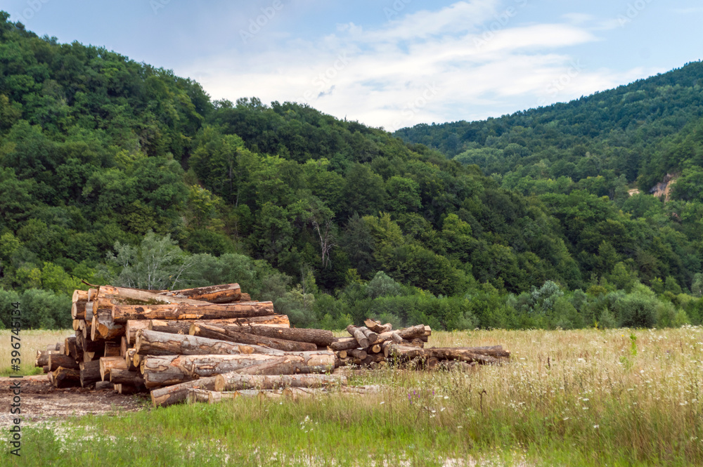 Stacked tree trunk in the mountain