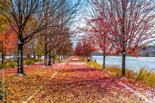 Elgin Town Park view with autumn colors in Illinois of USA