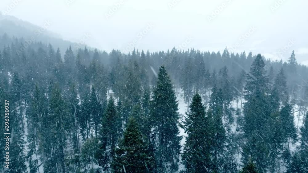Winter forest mountains storm ice cold aerial tree Winter forest mountains storm ice cold aerial tree
