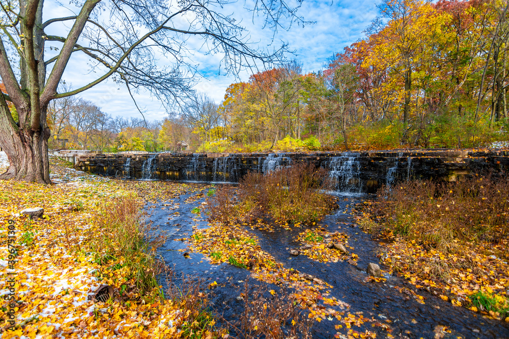Delnor Woods Park view with autumn colours in Illinois
Delnor Woods Park view with autumn colours in Illinois