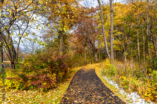 Delnor Woods Park view with autumn colours in Illinois
 photo