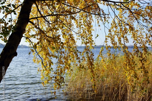 Fototapeta Naklejka Na Ścianę i Meble -  jesień nad jeziorem