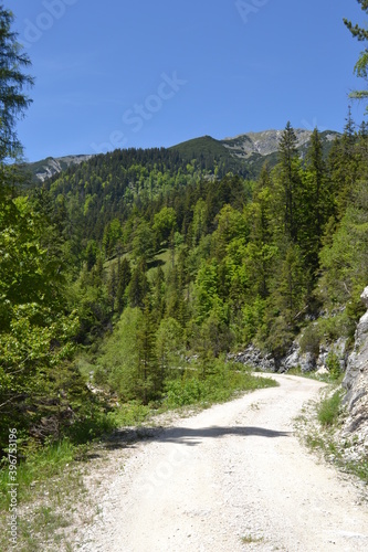 Glauchau, Ulm, Dillingen,Allgäu, Österreich