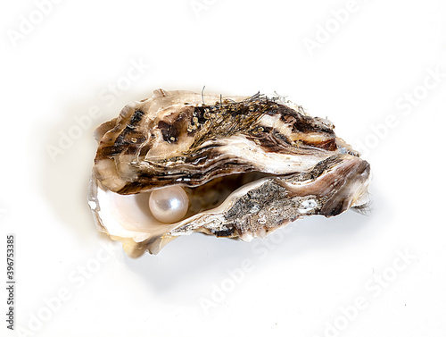 open oyster with pearl isolated on white background