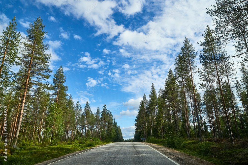 Beautiful landscape with blue sky, white clouds and the road that goes to the horizon with the forest and trees on the roadsides Beautiful landscape with blue sky, white clouds and the road that goes to the horizon with the forest and trees on the roadsides