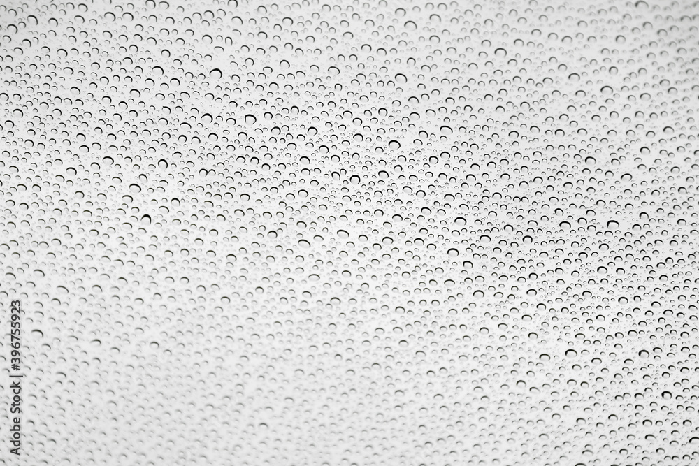 Obraz premium water drops on glass