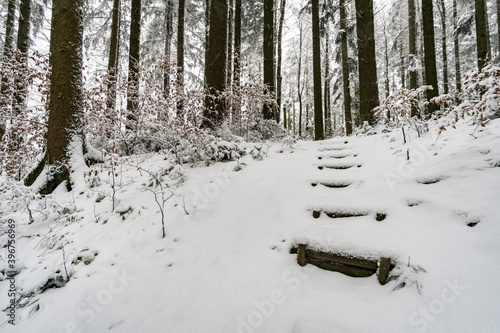 Winter hike in snow from Wilhelmsdorf on the Hoechsten on Lake Constance photo