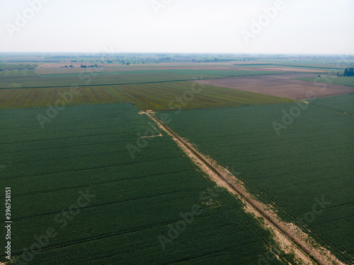 aerial view of agricultural fields corn. road. summer day. Bologna. Italy Emilia-Romagna Ca' Matte © Sergey