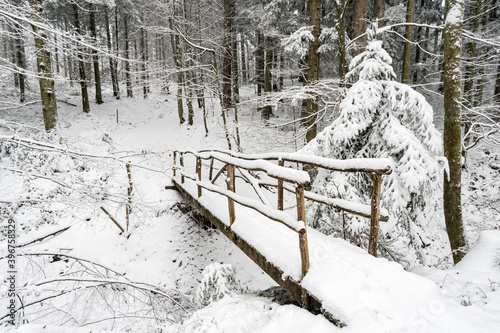 Winter hike in snow from Wilhelmsdorf on the Hoechsten on Lake Constance photo