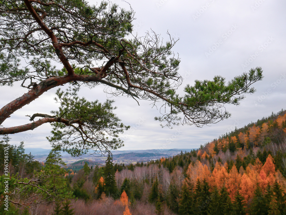 Scenic, panoramic view on the colorful forest from the top of the hill during autumn, afternoon time in Poland