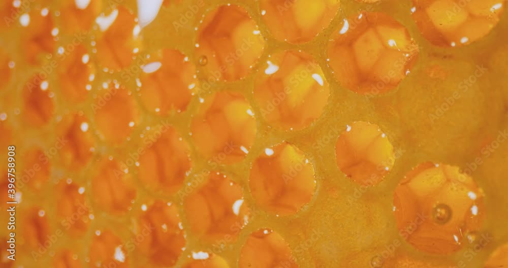 Honey comb macro Honey, apiary. 4K Honey comb macro Honey, apiary. 4K