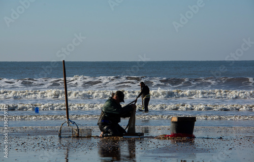 fisherman seafood shelfish ocean beach photo