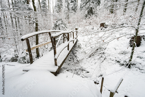 Winter hike in snow from Wilhelmsdorf on the Hoechsten on Lake Constance photo