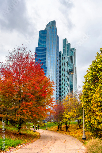 Autumn colors in Chicago of USA © nejdetduzen