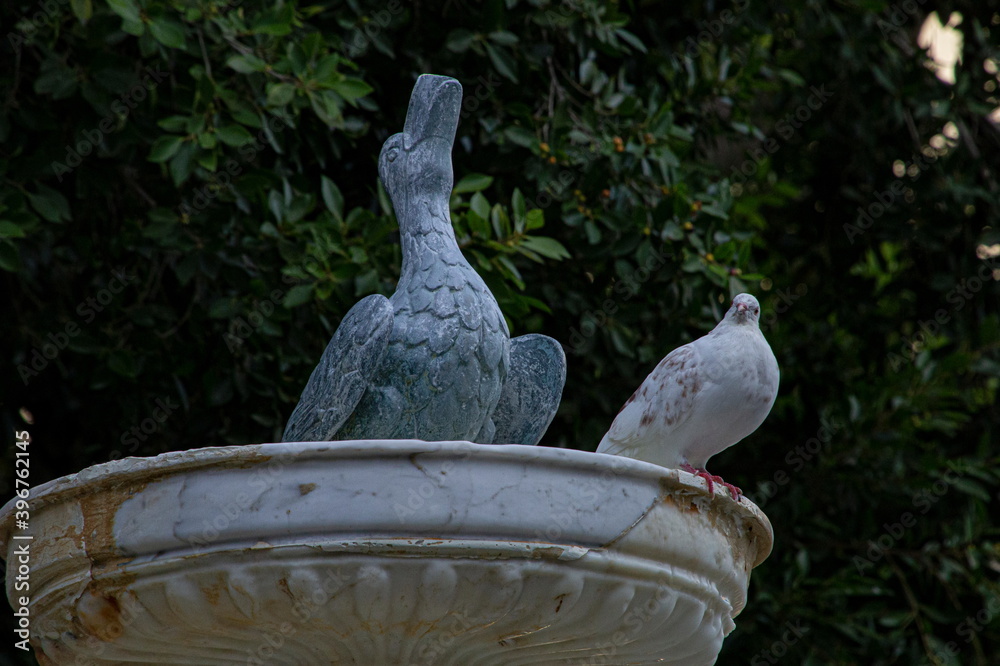 Dos pajaros Dos pajaros