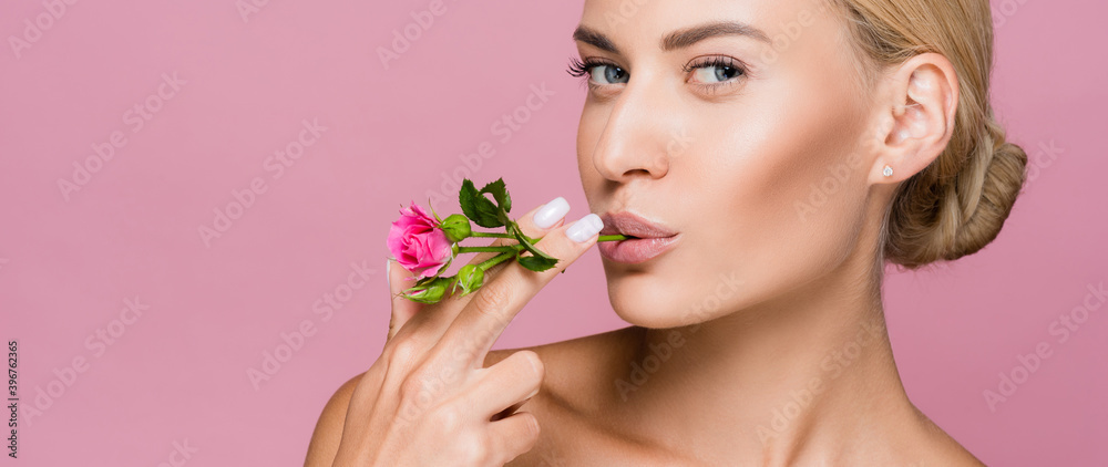 beautiful blonde woman with perfect skin and rose flower in mouth isolated on pink, banner