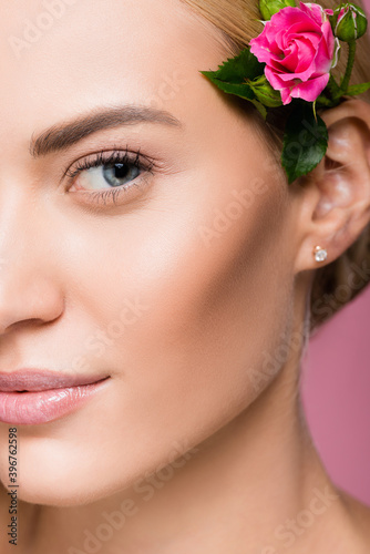 closeup of beautiful blonde woman with perfect skin and rose flower in hair isolated on pink