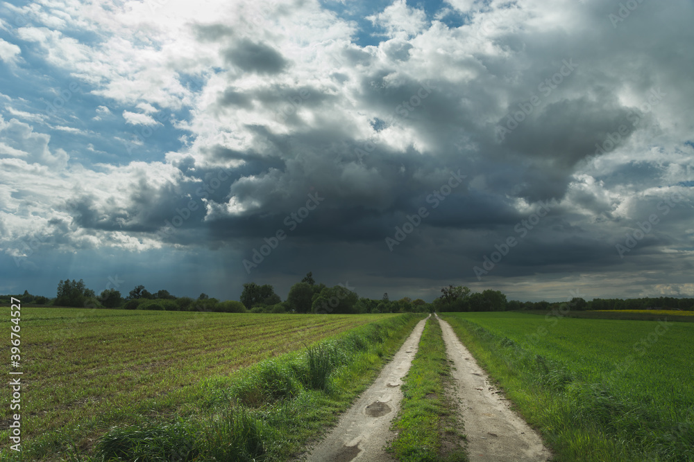 Naklejka premium Empty dirt road through fields and a single cloud with rain