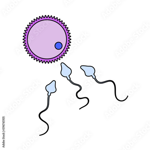Sperm And Egg Cell Icon