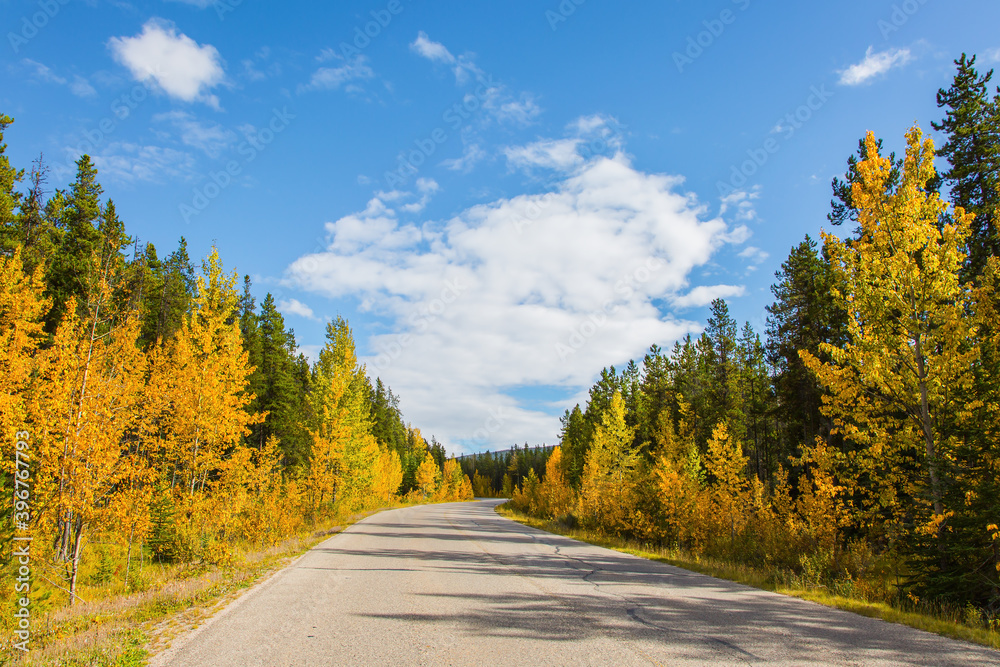 Fototapeta premium Highway 93 in the Rocky Mountains