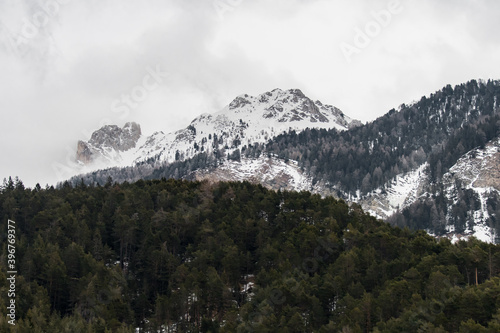 Snowy forest and mountains in the Dolomite