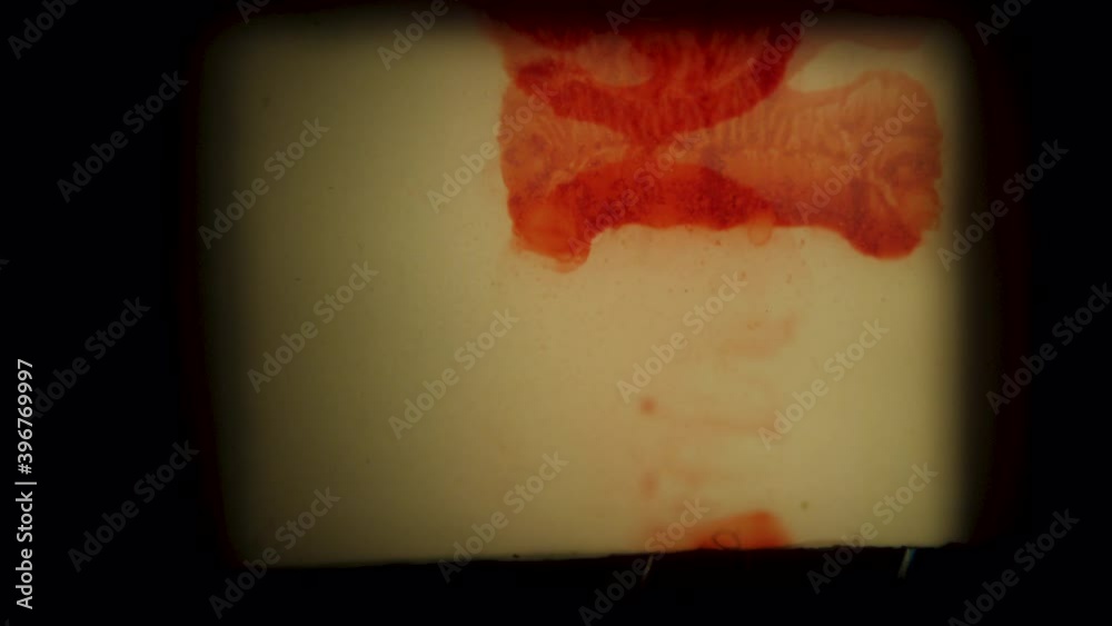 4K 3840x2160 Hair, scratches, and flicker, lifted from real 8mm film. Composite this over your footage using the Multiply blend mode to get a retro film look. Super 8mm Film Look.