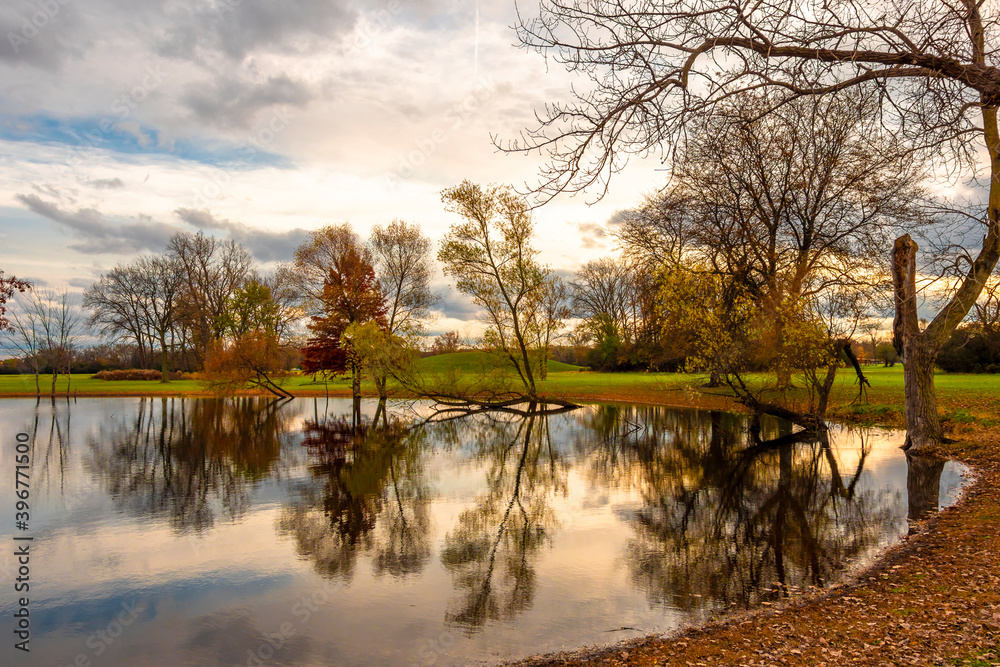 Schiller Woods view in Chicago of Illinois Schiller Woods view in Chicago of Illinois