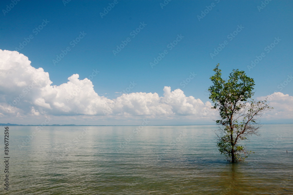 Bright sky with white clouds above the sea, for background.	