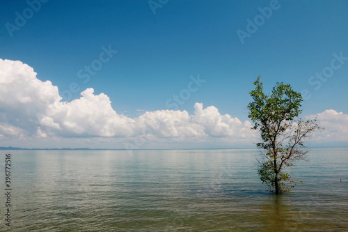 Bright sky with white clouds above the sea, for background. 