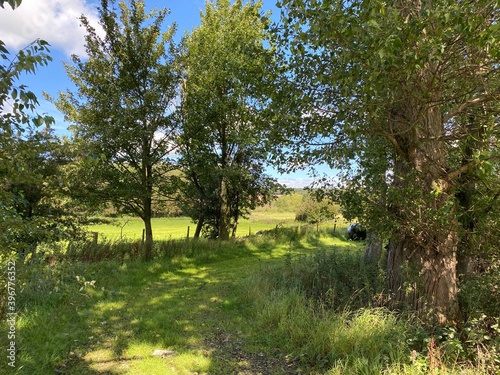 Small grass track, leading to the fields, behind the trees off, Pool Road, Otley, UK